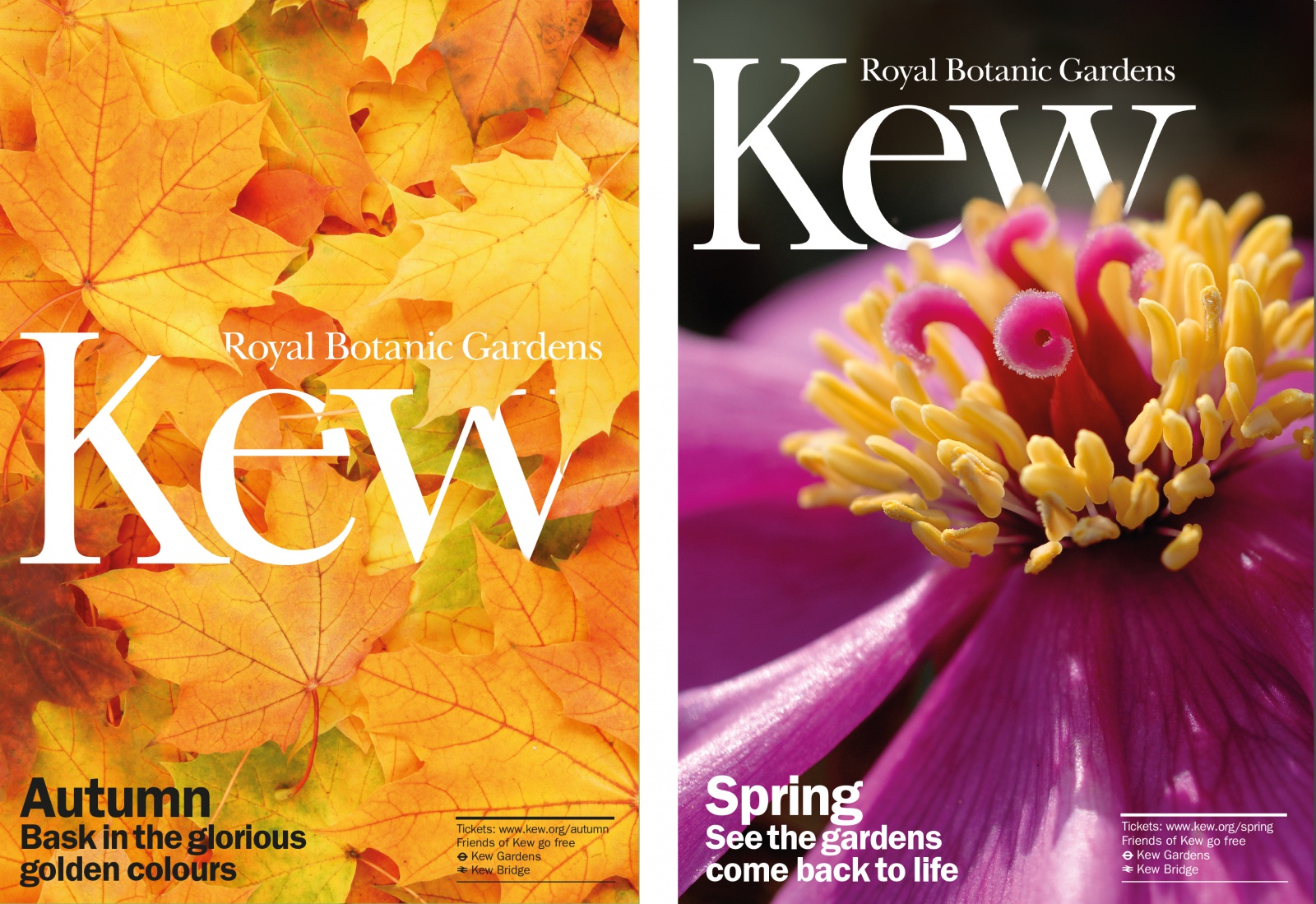 kew-s-royal-botanic-gardens-blossoms-with-new-brand-identity-design-week